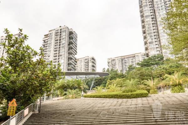 金地香蜜山|南北通|格局好|視野好|安靜|采光充足