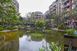 布吉陽光花園|布吉街，深圳東站，陽光無限，地鐵物業，價格超低！