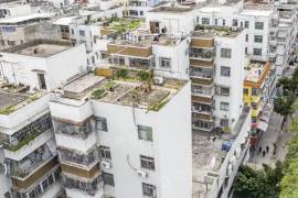 平湖特力商廈|交通方便|戶型方正|采光充足|價格實惠|交通便利