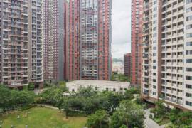 承翰陶源花园|龍崗大運，高樓層視野開闊，拎包入住，業主誠心出售