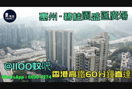 碧桂園盛匯廣場-惠州|首期3萬(減)|@1100蚊呎|香港高鐵60分鐘直達|香港銀行按揭(實景航拍)