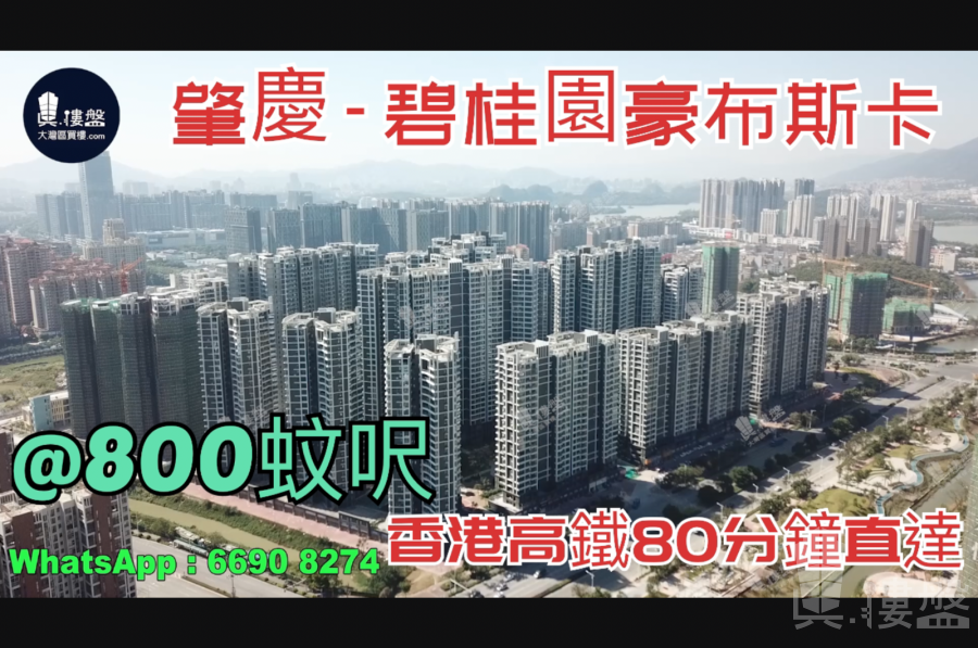 碧桂园豪布斯卡-肇庆|首期3万(减)|香港高铁80分钟直达|香港银行按揭 (实景航拍)