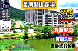 珠海星河湖山春曉，首期5萬(減)，香港銀行按揭，最新價單